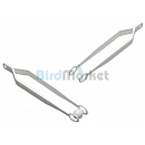 Λαβίδα Αυγών 